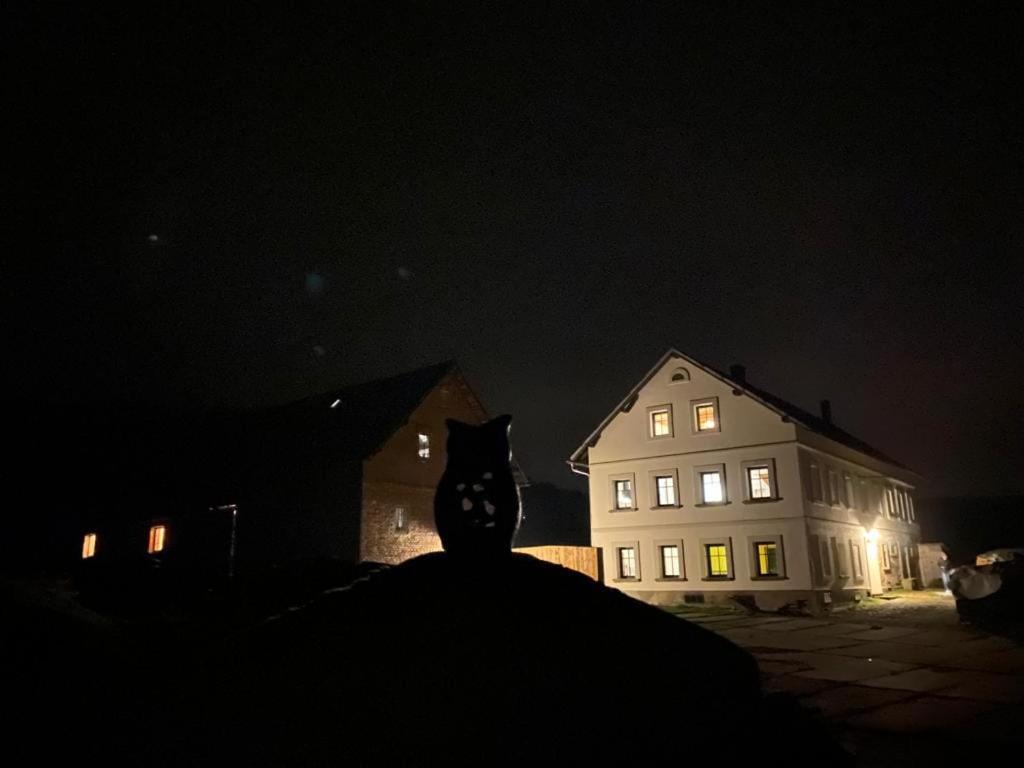 Apartmán Statek 85 Marenice Exteriér fotografie